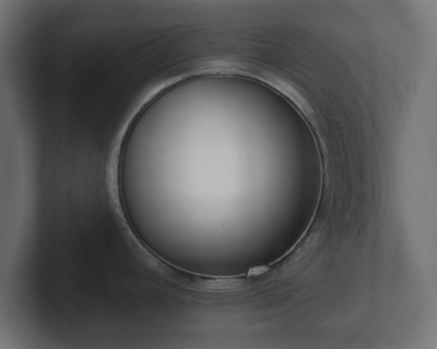 X0000103171392200808291501