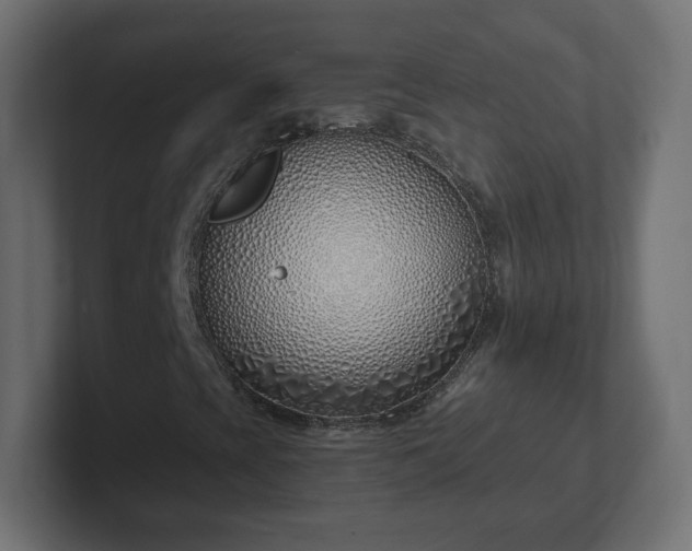 X0000103171393200808291501