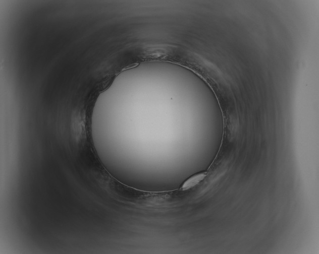 X0000103171394200808291501