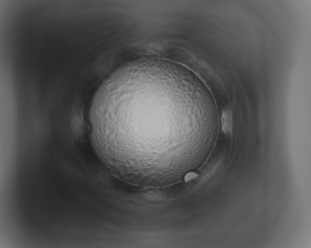 X0000103171395200808291501