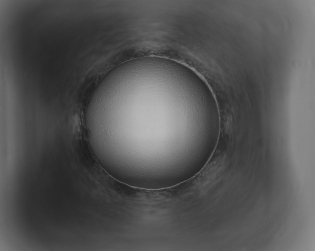 X0000103171397200808291501