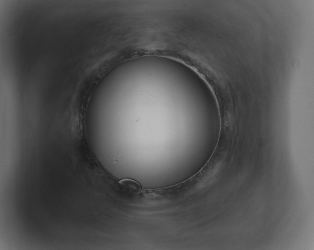 X0000103171398200808291501