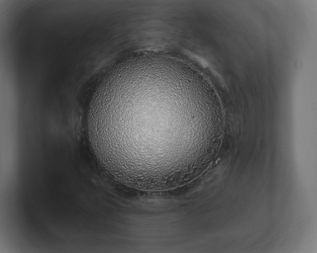 X0000103171399200808291501