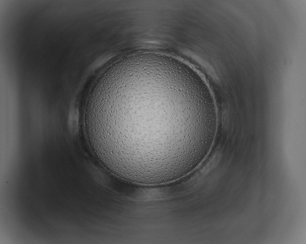 X0000103171402200808291501