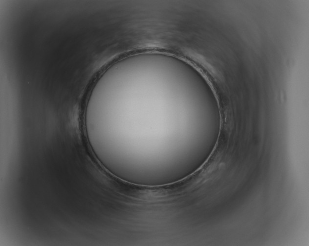 X0000103171404200808291501