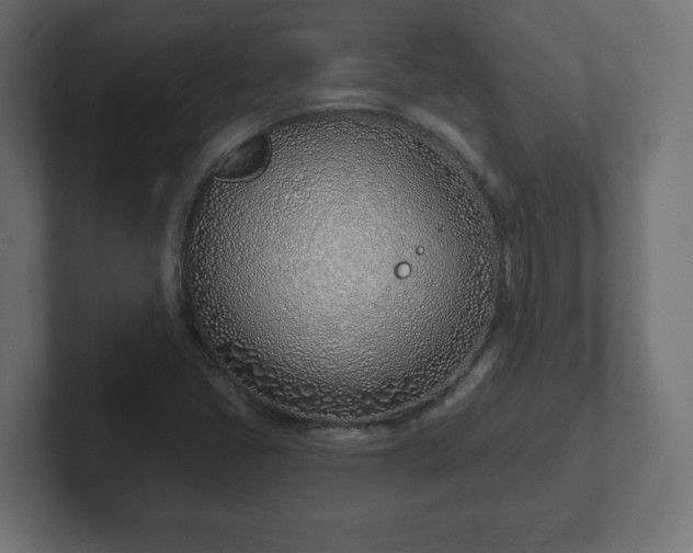 X0000103171405200808291501