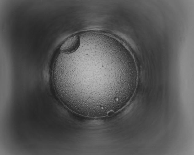 X0000103171406200808291501