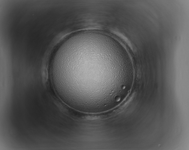 X0000103171407200808291501