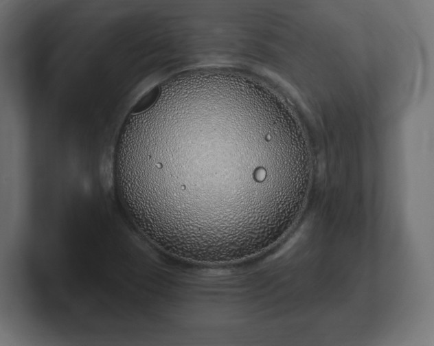 X0000103171409200808291501