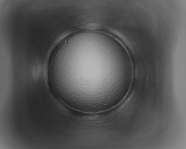 X0000103171410200808291501