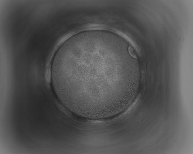 X0000103171413200808291501