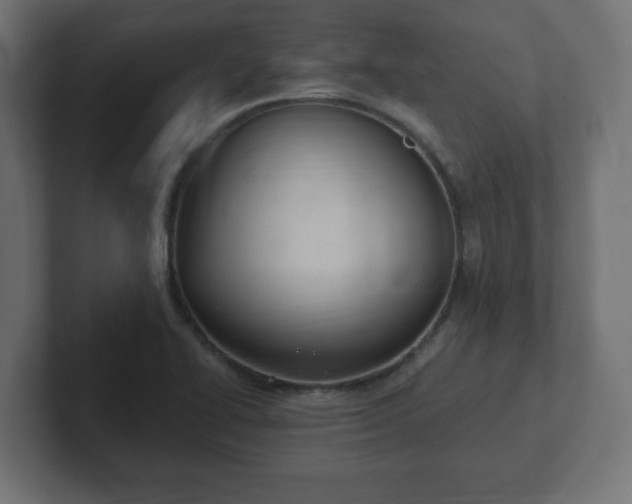 X0000103171414200808291501