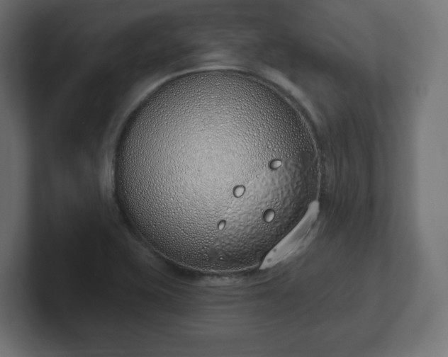 X0000103171415200808291501