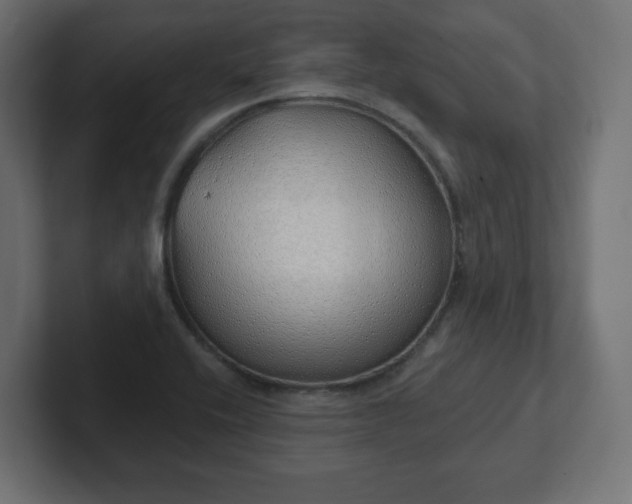 X0000103171416200808291501