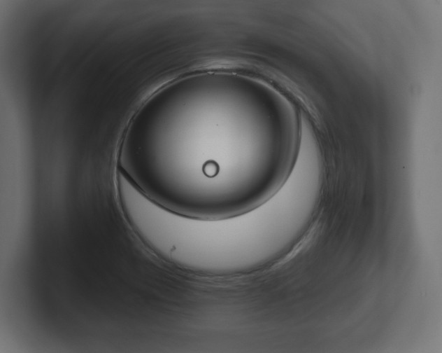 X0000103171417200808291501