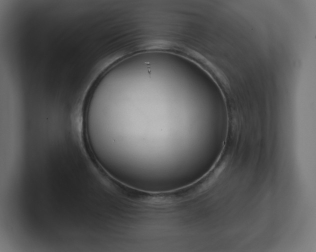 X0000103171418200808291501