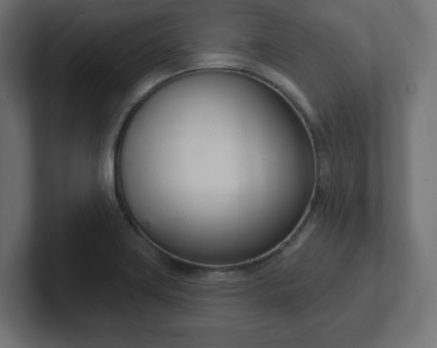 X0000103171419200808291501