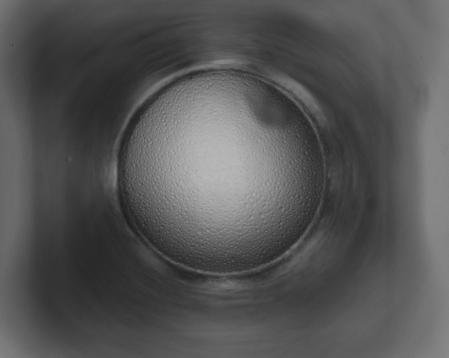 X0000103171420200808291501