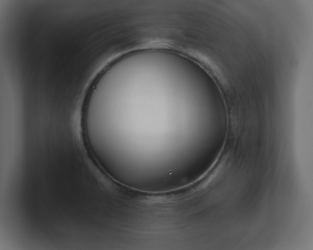 X0000103171422200808291501