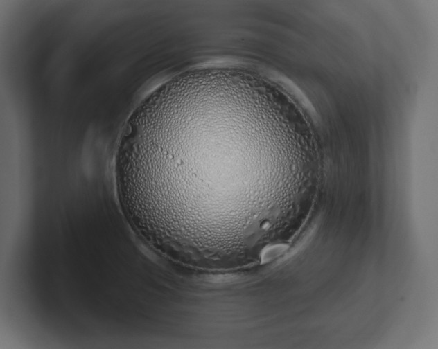 X0000103171425200808291501