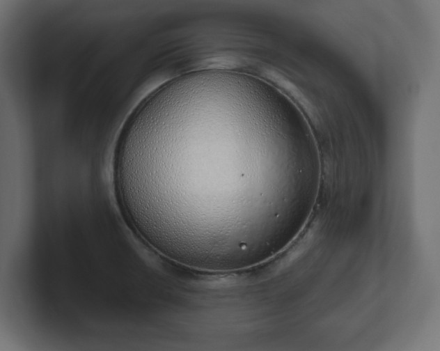 X0000103171426200808291501