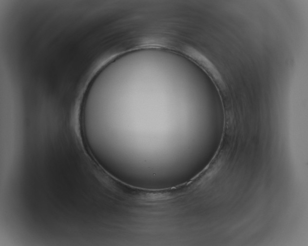 X0000103171427200808291501