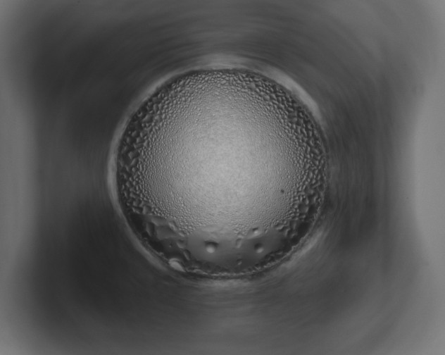 X0000103171429200808291501