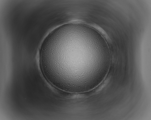 X0000103171430200808291501