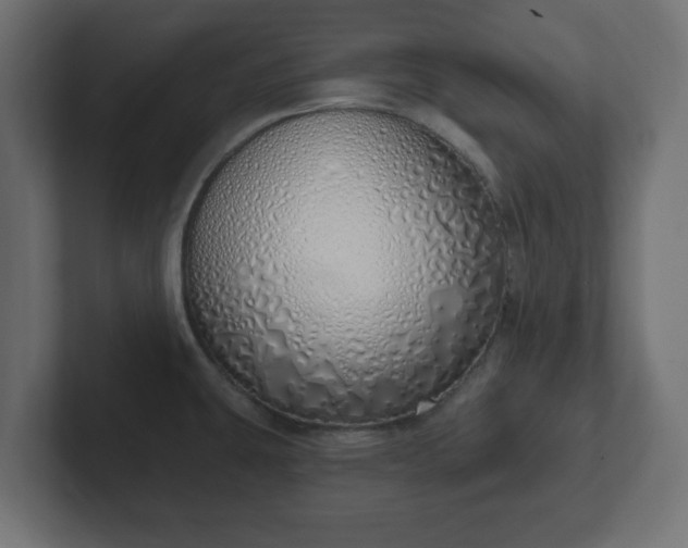 X0000103171431200808291501