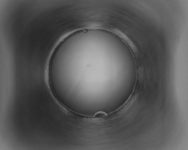 X0000103171432200808291501