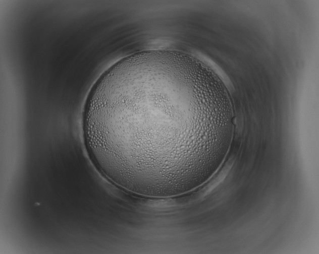 X0000103171434200808291501