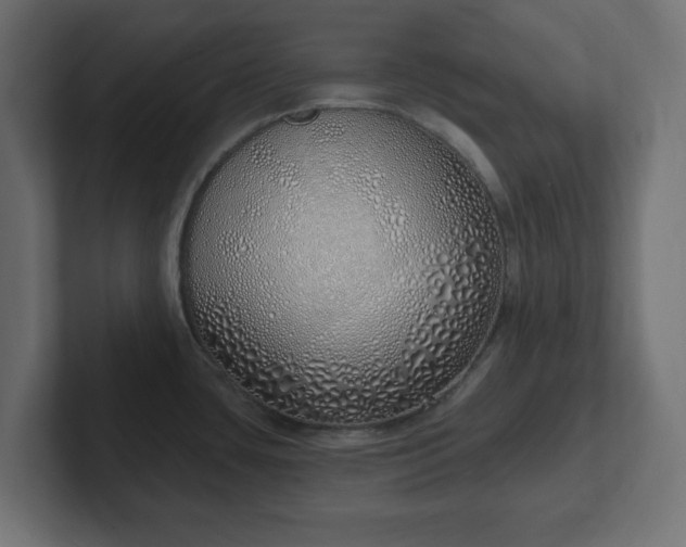 X0000103171435200808291501