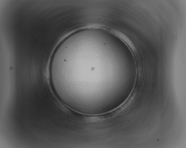 X0000103171436200808291501