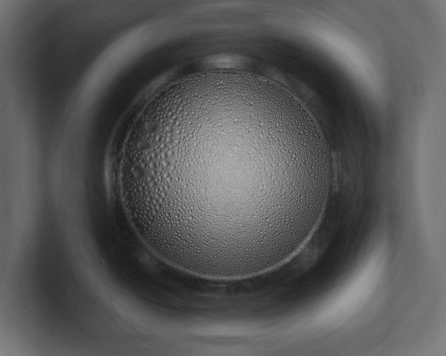 X0000103171438200808291501