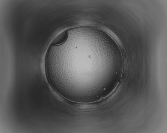 X0000103171439200808291501