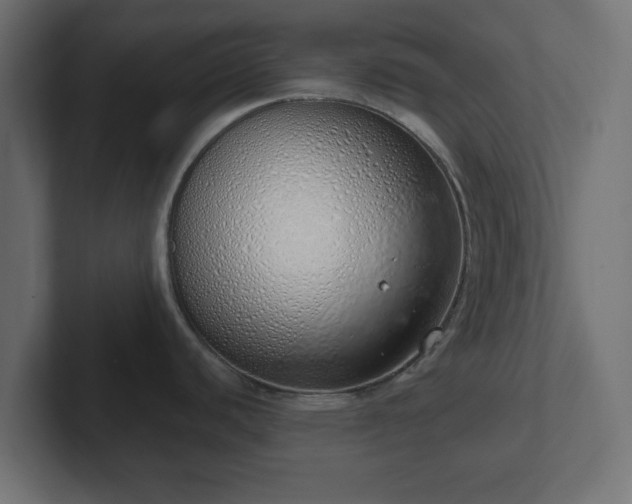 X0000103171440200808291501