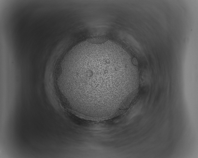 X0000103171441200808291501