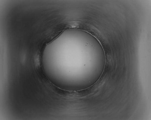 X0000103171442200808291501