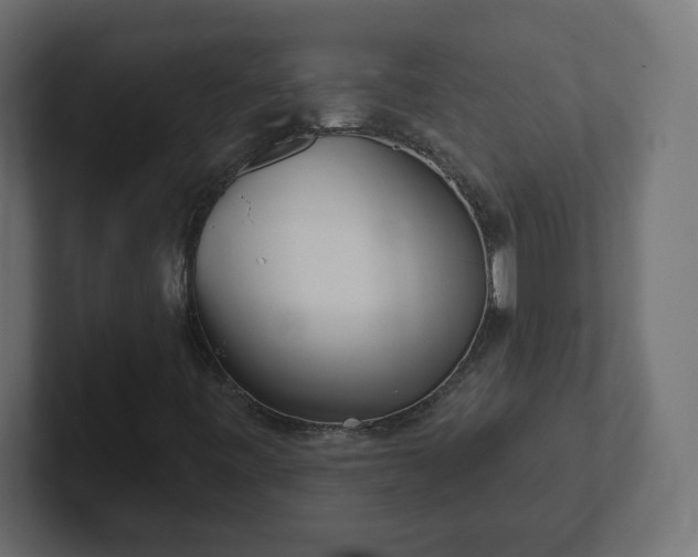 X0000103171443200808291501