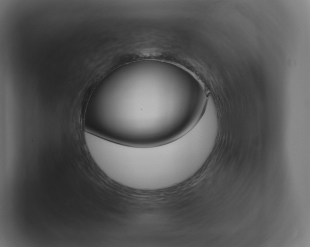 X0000103171444200808291501