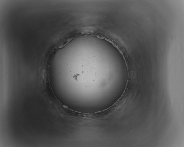 X0000103171445200808291501