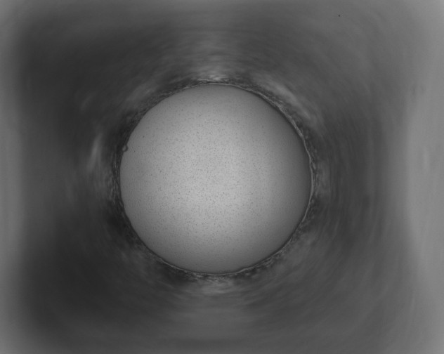 X0000103171446200808291501