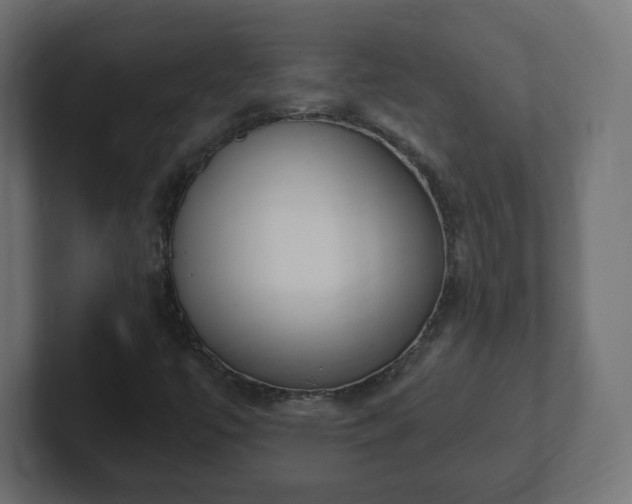 X0000103171447200808291501