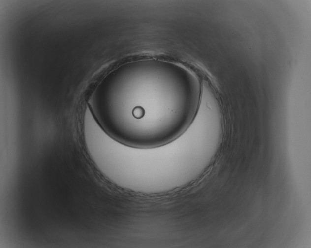 X0000103171448200808291501