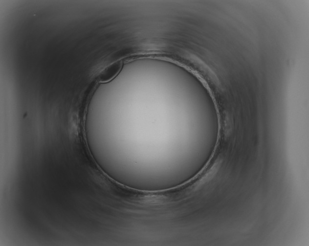 X0000103171449200808291501