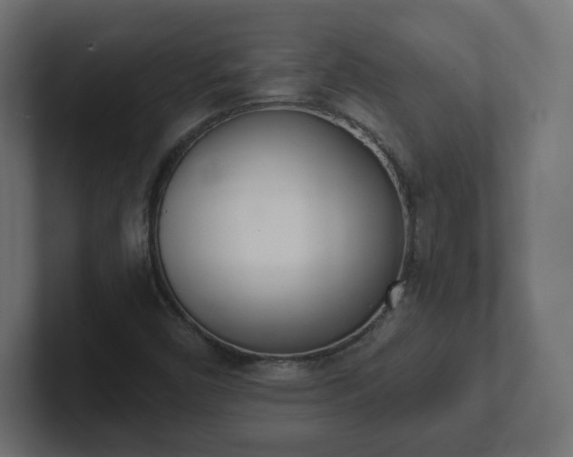 X0000103171450200808291501