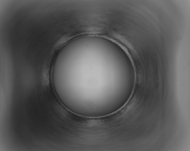 X0000103171451200808291501