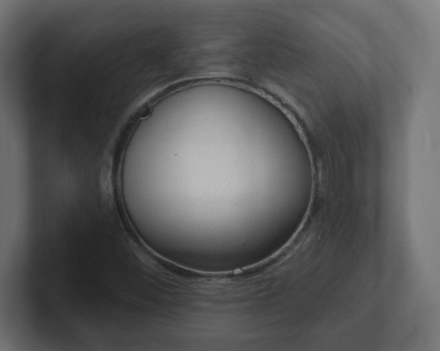 X0000103171452200808291501