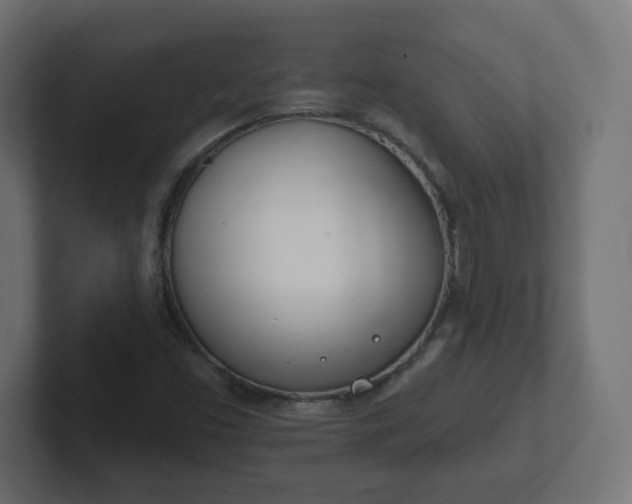 X0000103171453200808291500