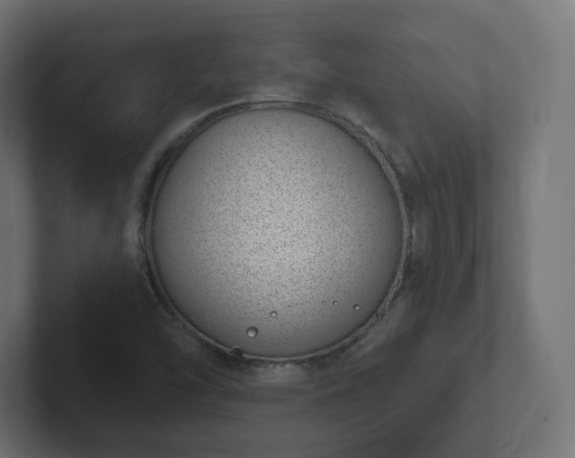 X0000103171454200808291500